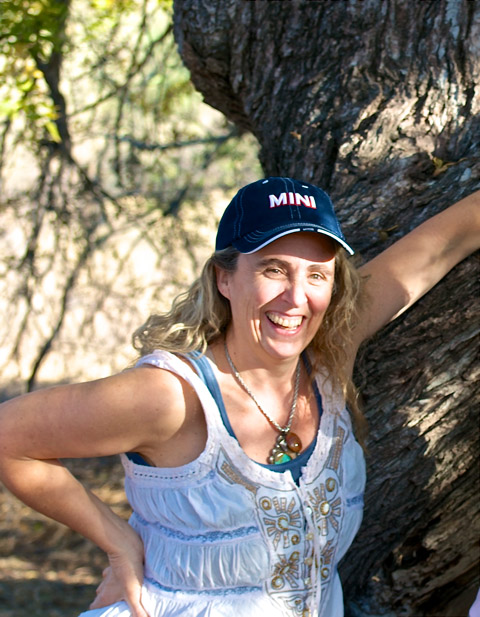Profile picture for user Liz Bauer